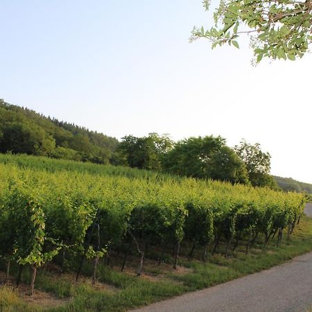 Superbe logement de 80m2 à L'orée des vignes Wangen Extérieur photo