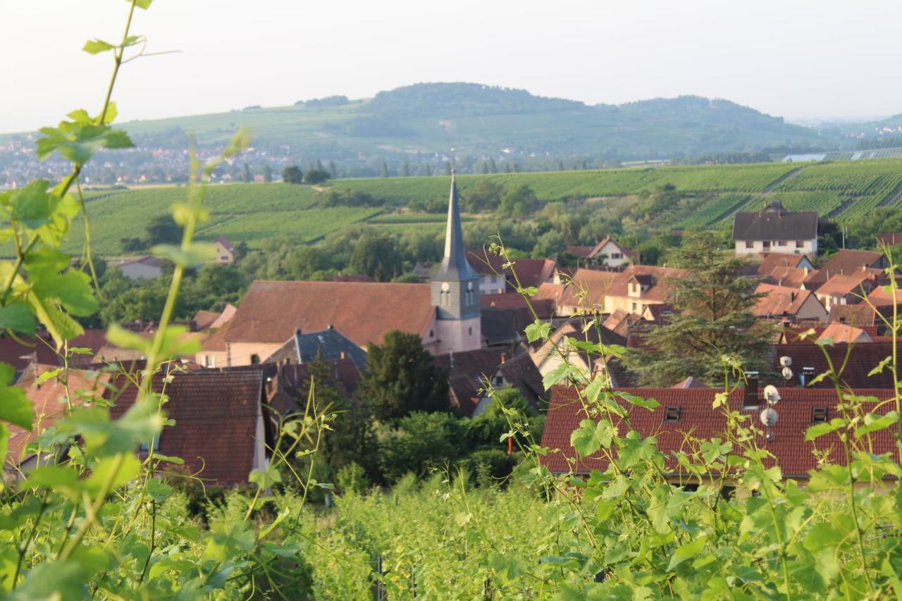 Superbe logement de 80m2 à L'orée des vignes Wangen Extérieur photo