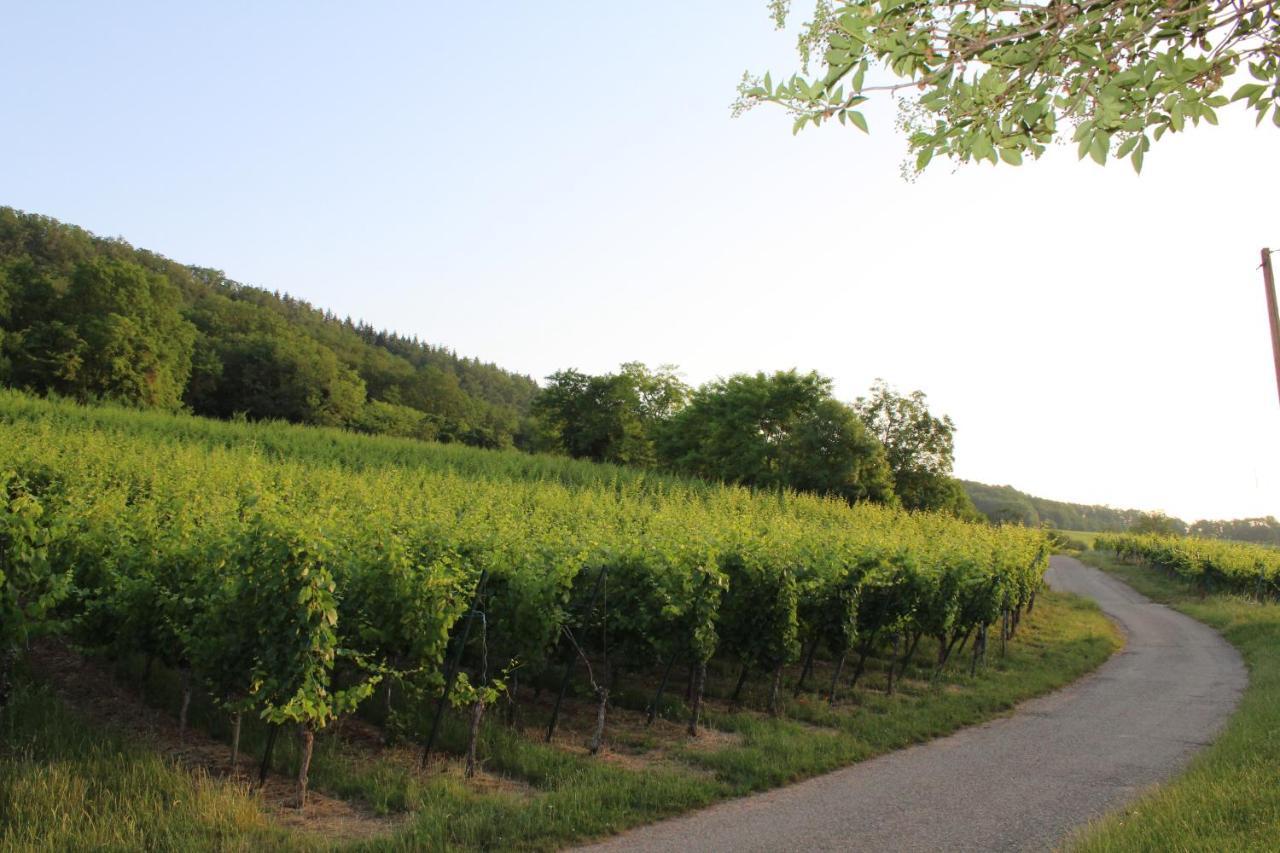 Superbe logement de 80m2 à L'orée des vignes Wangen Extérieur photo